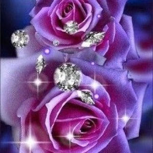 Meet your Posher, Lucille